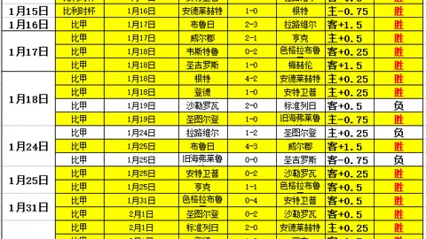 田中碧：无畏征途，勇夺世界杯荣耀，激发自我挑战极限！