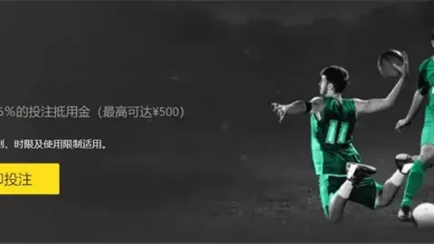 揭秘波鸿与沙尔克巅峰对决：神秘阵容战力揭秘，无形战场谁主沉浮？