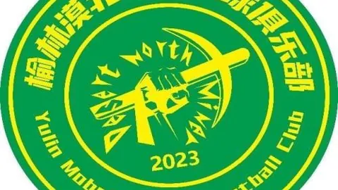 C罗获评本季意甲最佳射手殊荣