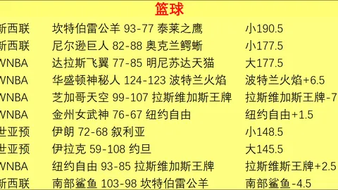 2026：吕迪格未定未来立场，坚定支持纳格尔斯曼